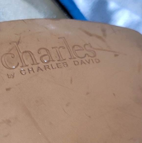 CHARLES DAVID STILLETOES - Picture 6 of 7